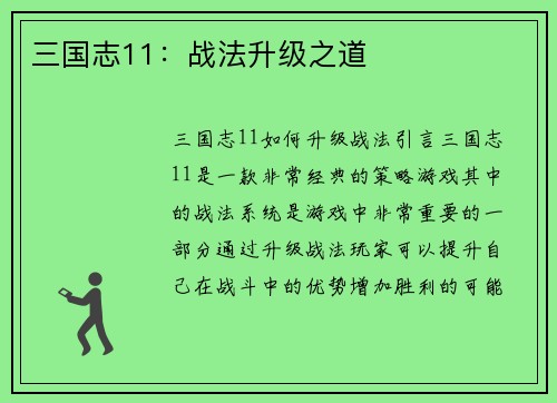 三国志11：战法升级之道